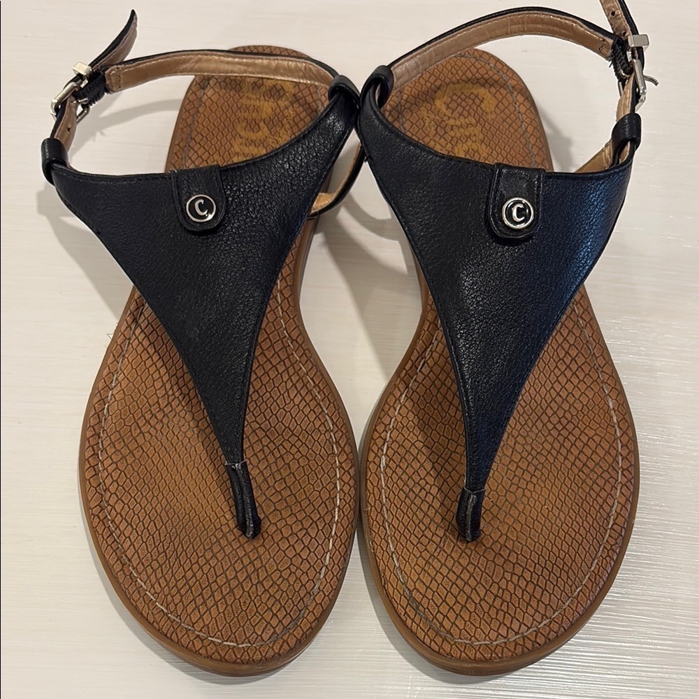 Circus by Sam Edelman Black and Brown T-Strap Sandals